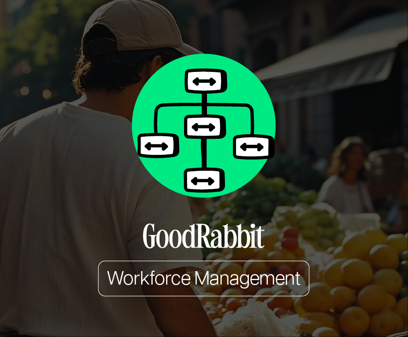 Blog de GoodRabbit: Conoce qué es la analítica de datos y cómo puede ayudarte a mejorar tus procesos para organizar mejor a tu empresa de una manera eficiente
